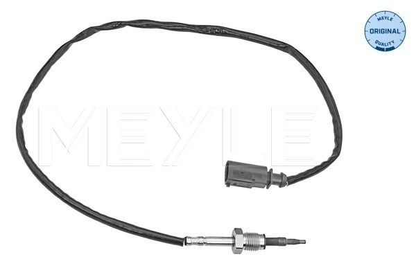Capteur, température des gaz