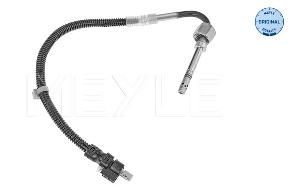 Capteur, température des gaz