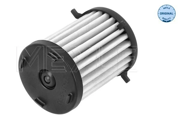 Filtre hydraulique, boîte automatique MEYLE 100 136 1007