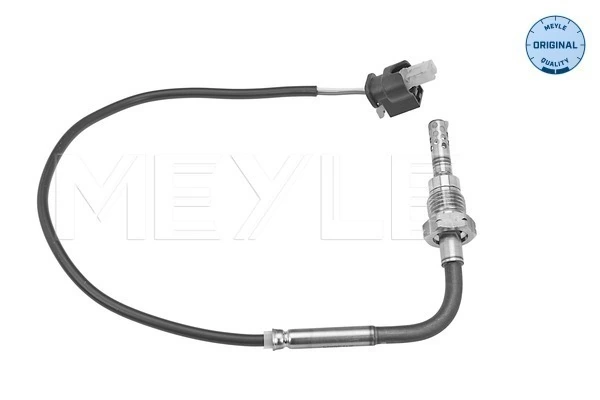 Capteur, température des gaz
