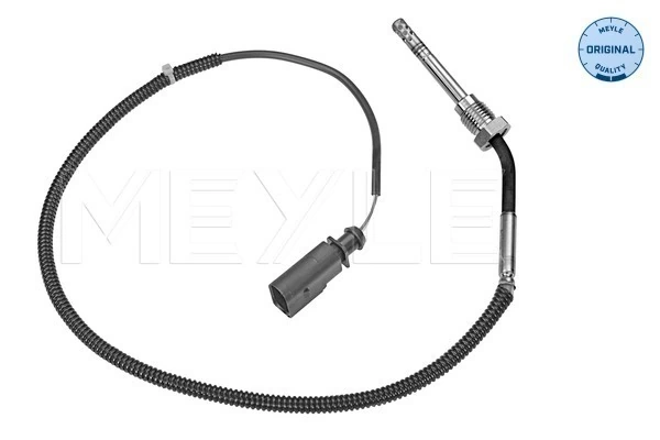Capteur, température des gaz