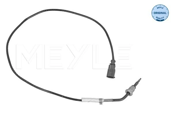 Capteur, température des gaz