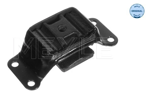 Mounting, transfer case