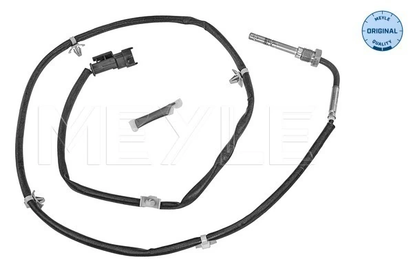 Capteur, température des gaz