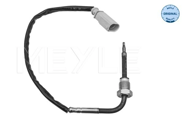 Capteur, température des gaz