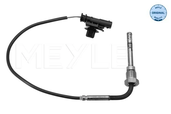 Capteur, température des gaz