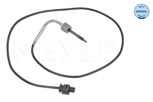 Capteur, température des gaz