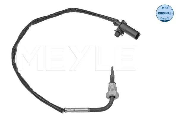 Capteur, température des gaz