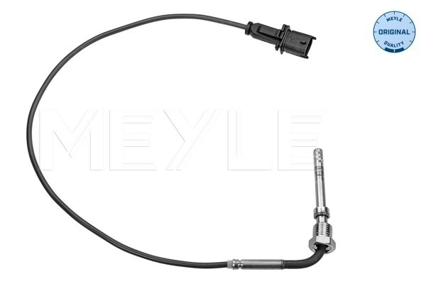 Capteur, température des gaz