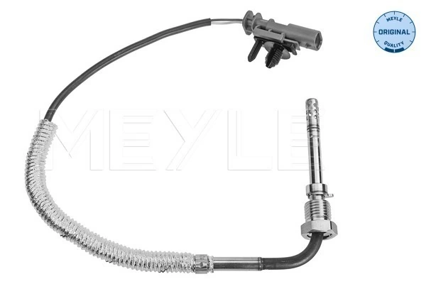 Capteur, température des gaz
