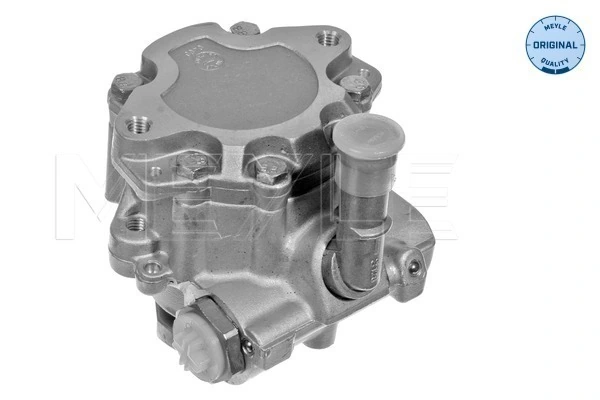 Pompe hydraulique, direction Meyle