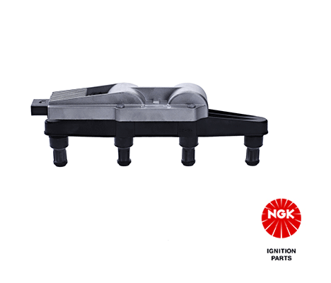 NGK 48114
