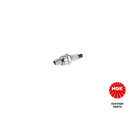 NGK 3365
