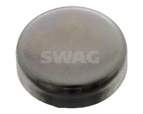 Frost Plug