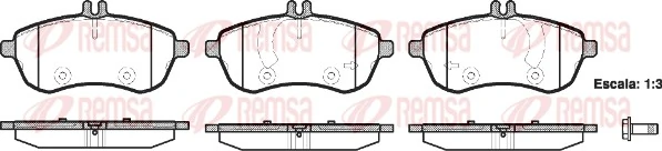 REMSA 1301.00