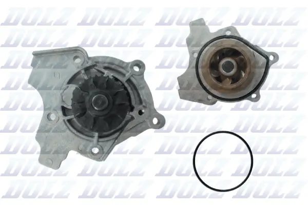 DOLZ A243