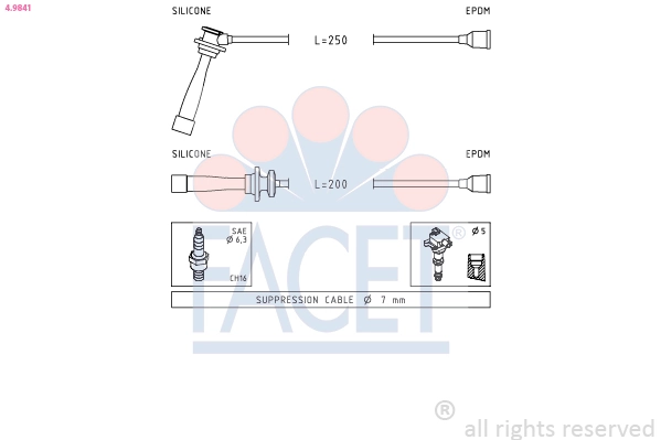 Ignition Cable Kit