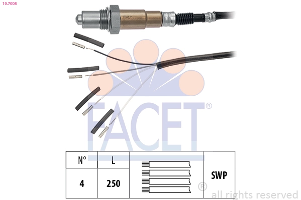 Oxygen Sensor