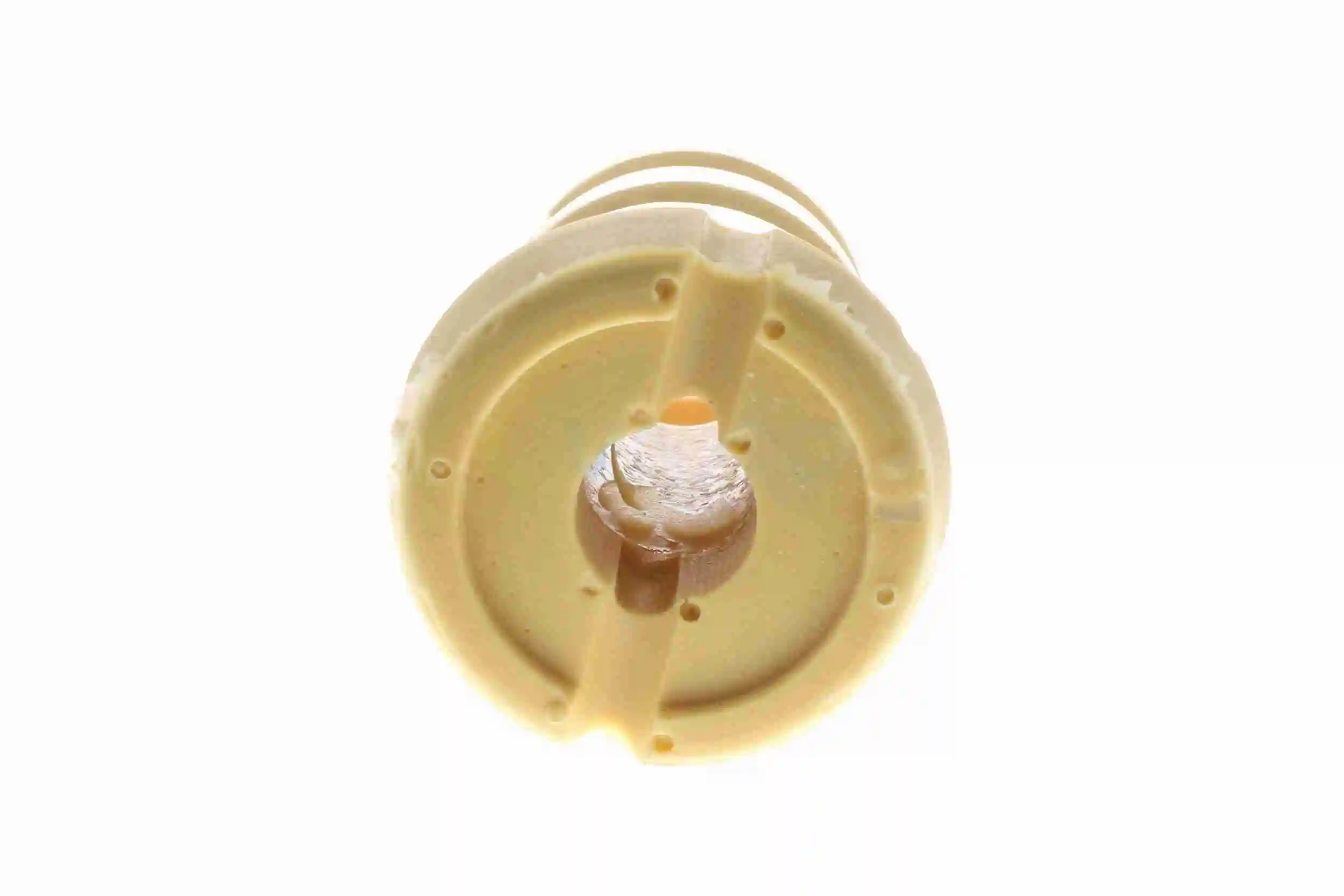 Butée élastique, suspension VAICO V22-0169