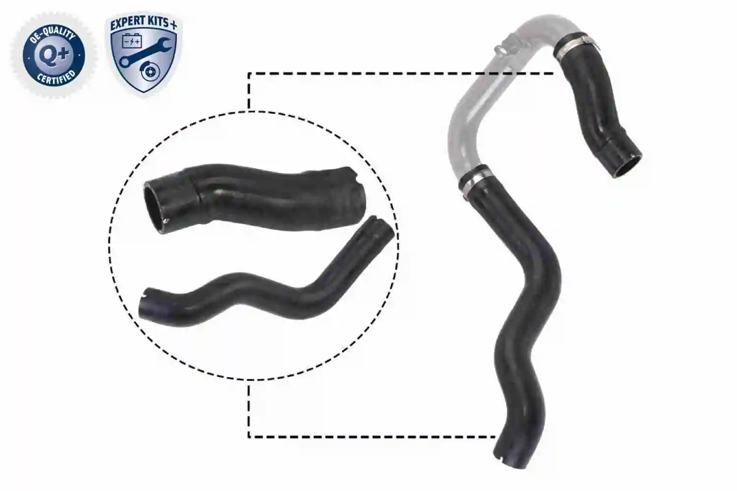 Gaine de suralimentation VAICO V24-0731