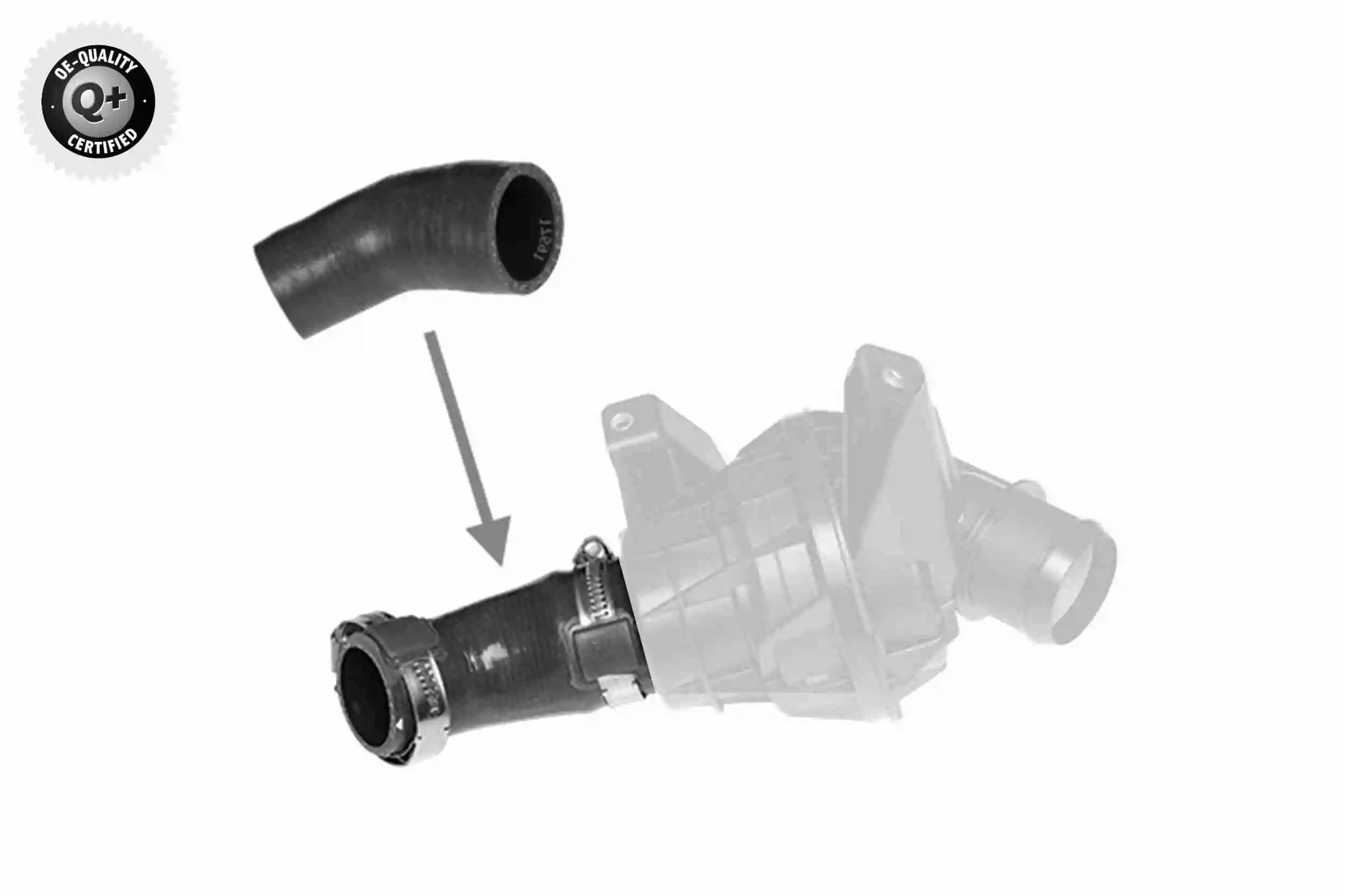 Gaine de suralimentation VAICO V22-0714