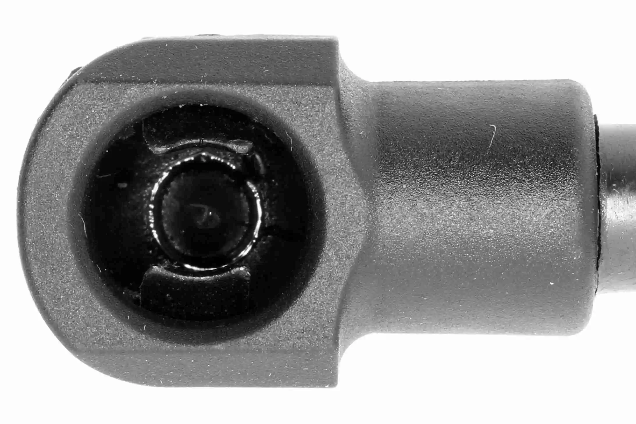 Vérin de hayon, de coffre VAICO V24-0300