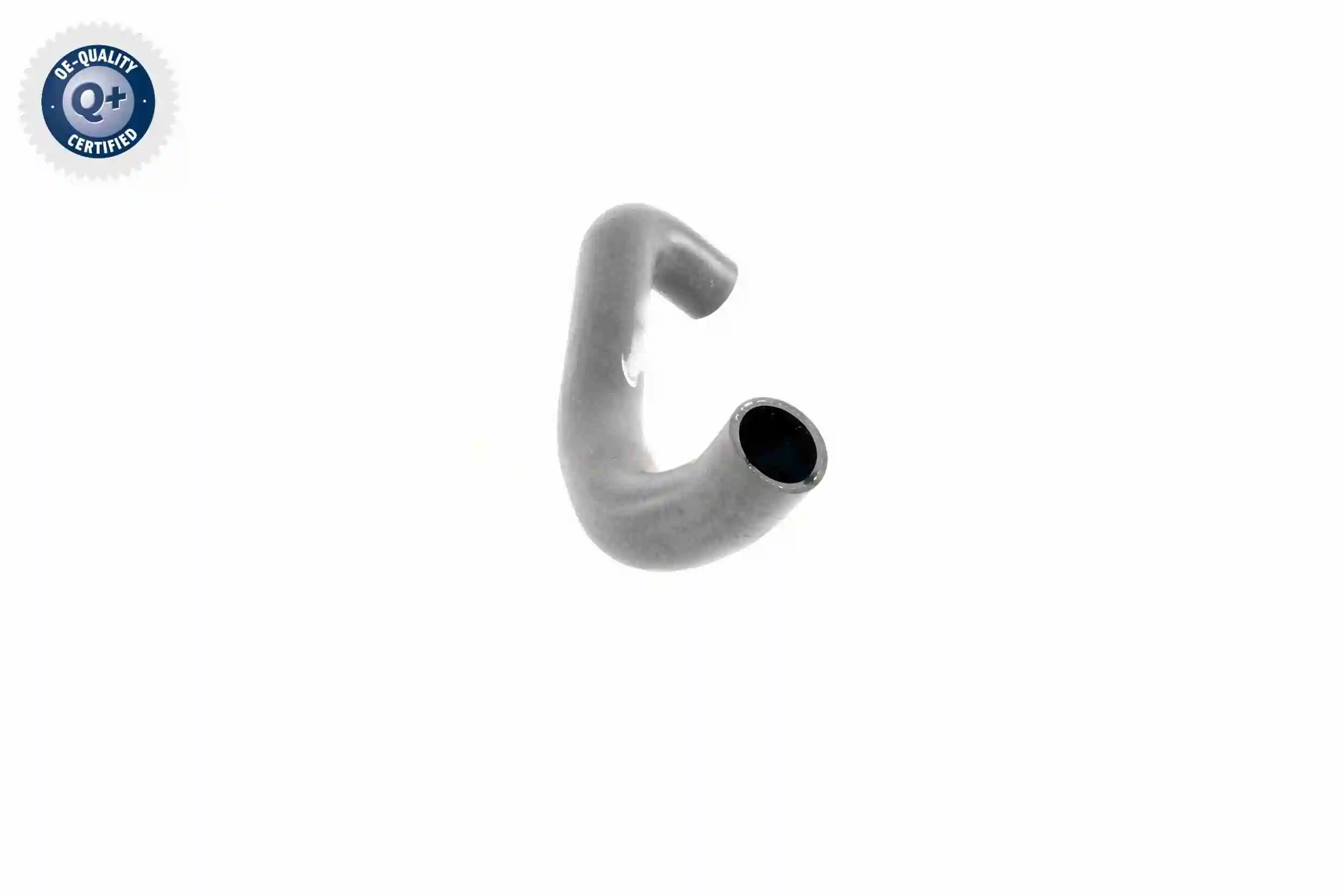 210cfa46e63c00a5d37a3bce0a8e076b4e2b0918.webp — 11