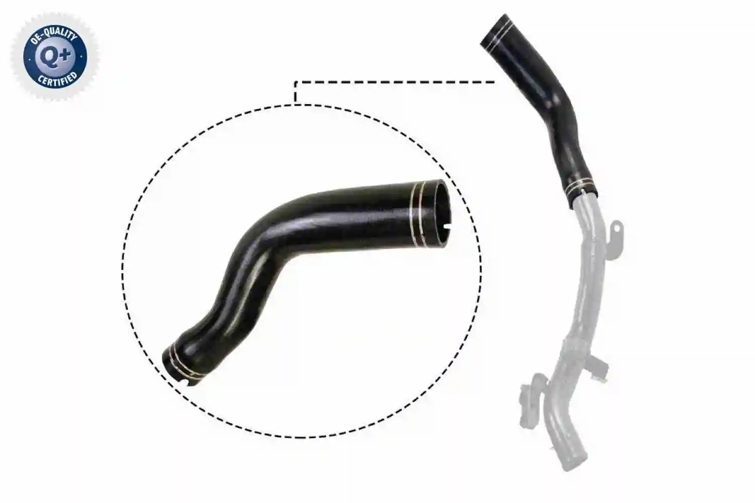 Gaine de suralimentation VAICO V24-0694