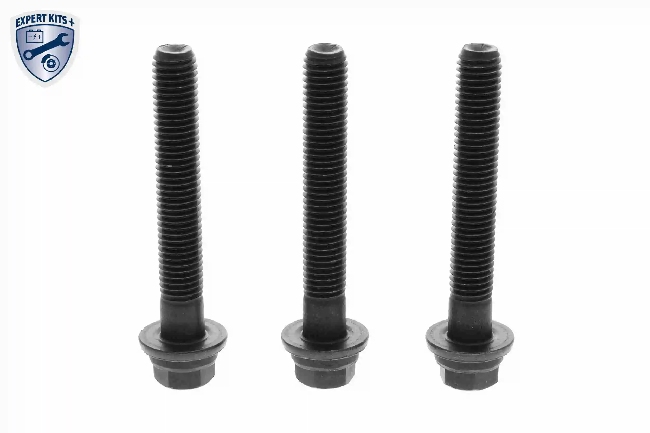 Kit de poulies, vilebrequin VAICO V25-2112