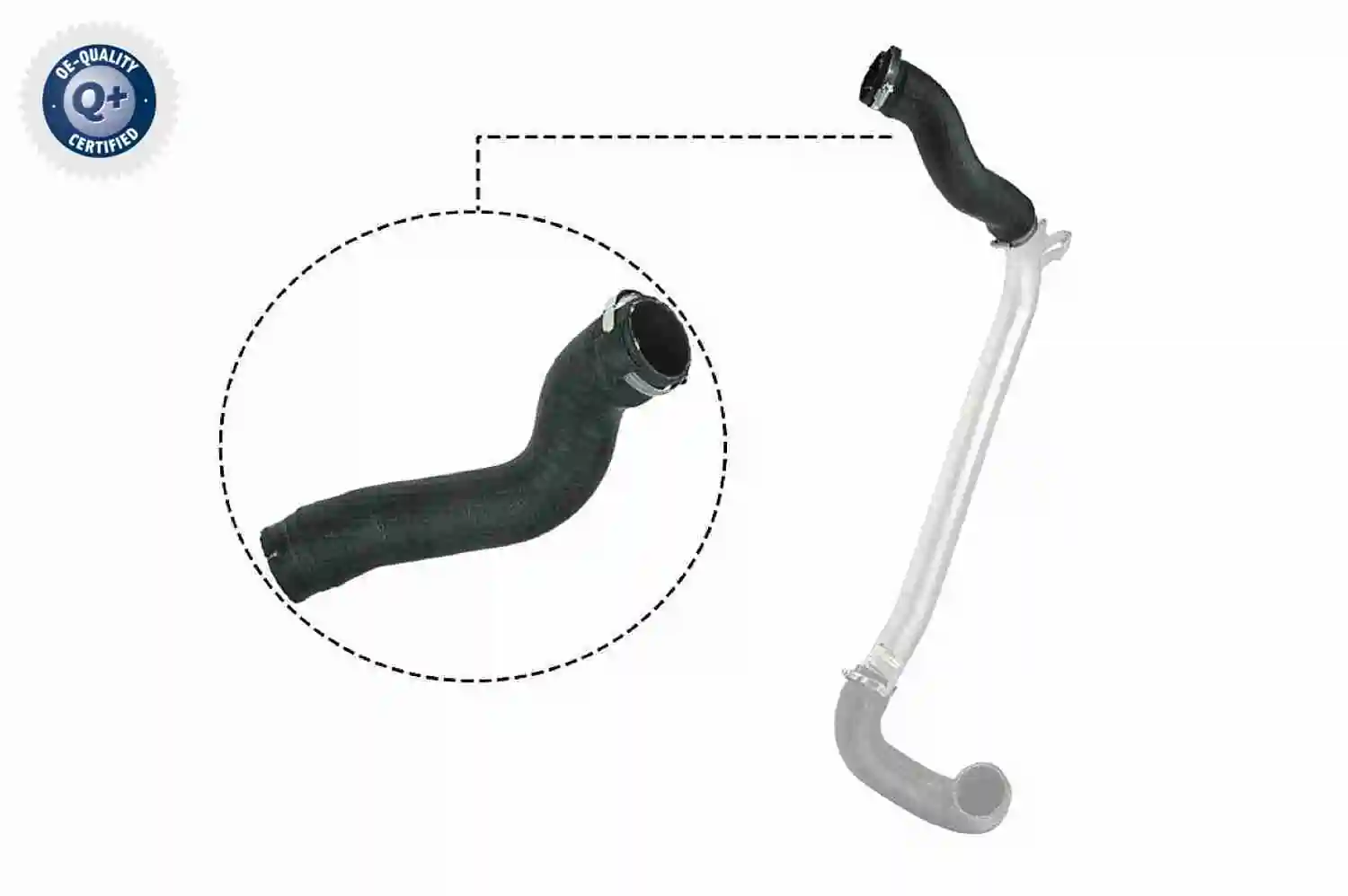 Gaine de suralimentation VAICO V40-1513