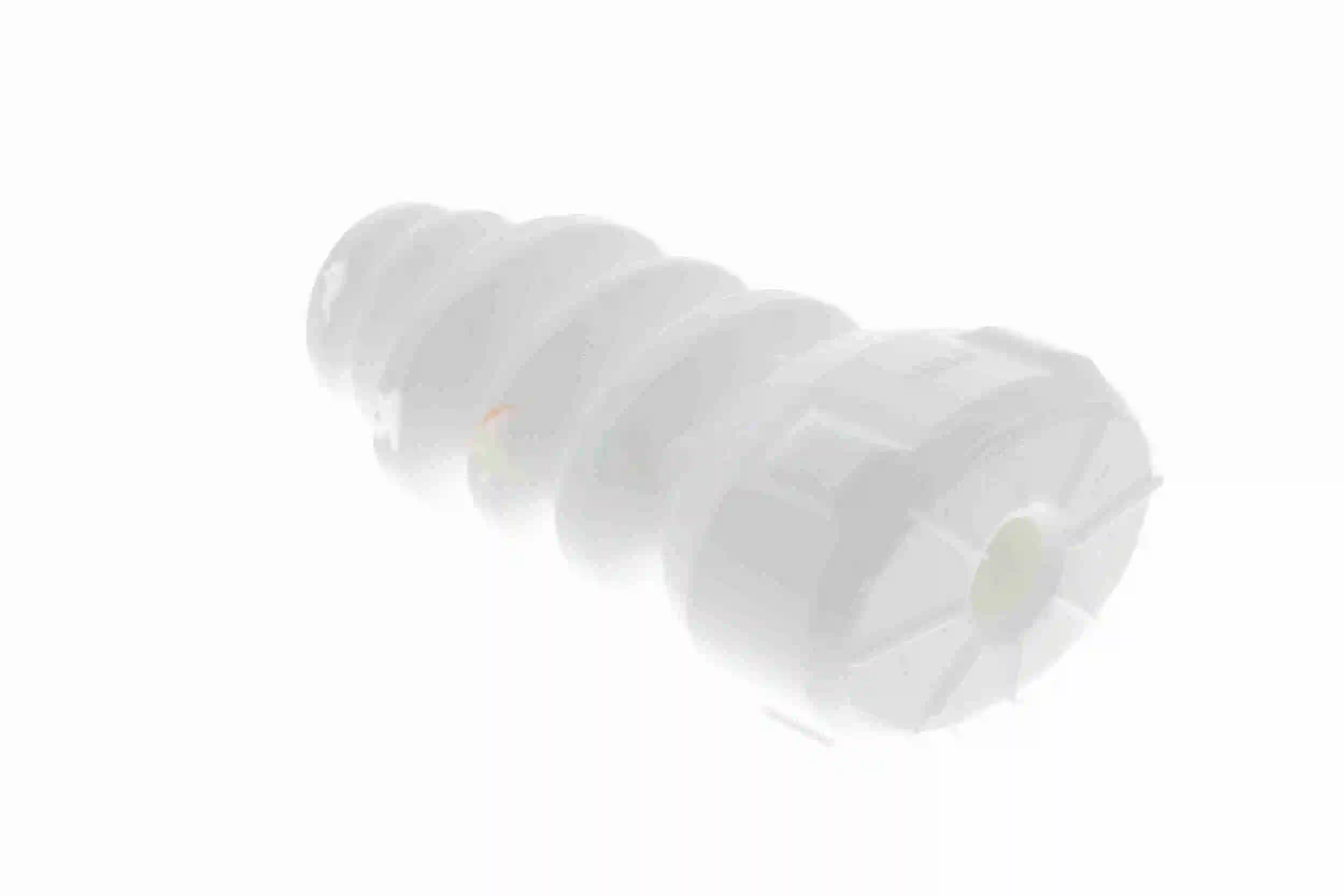 Butée élastique, suspension VAICO V10-6096