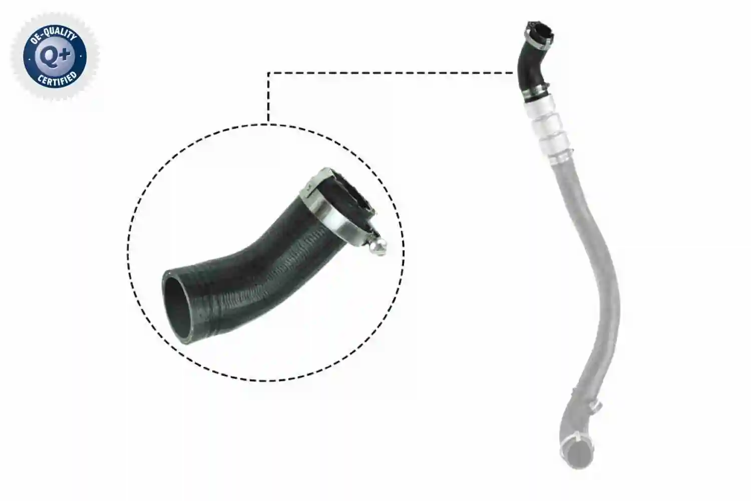 Gaine de suralimentation VAICO V25-1037