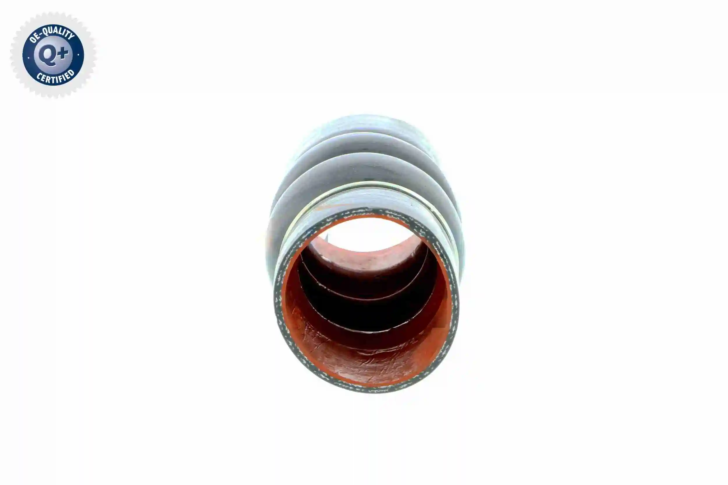 Gaine de suralimentation VAICO V25-0949