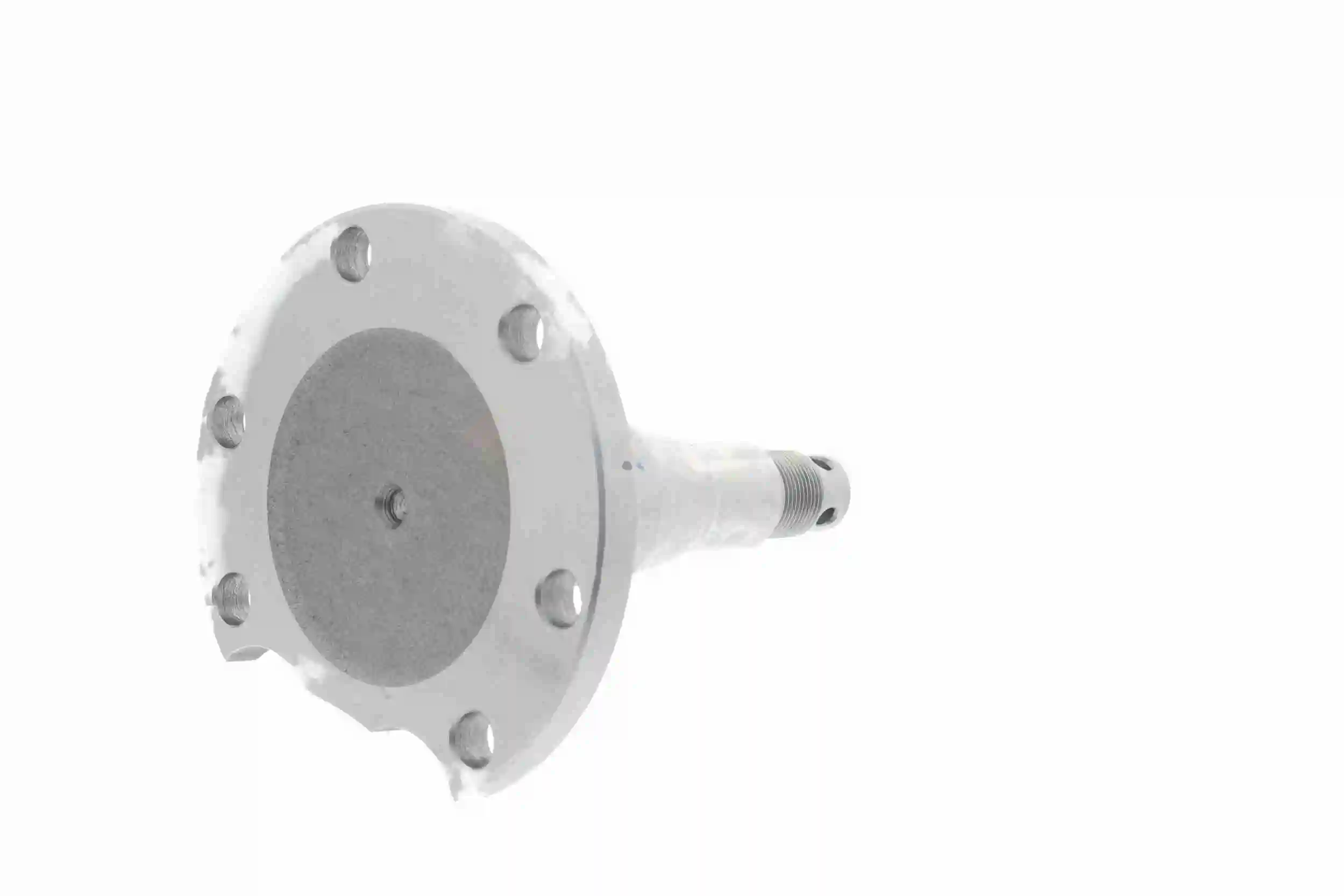 Bout d'essieu, corps de l'essieu VAICO V10-8344