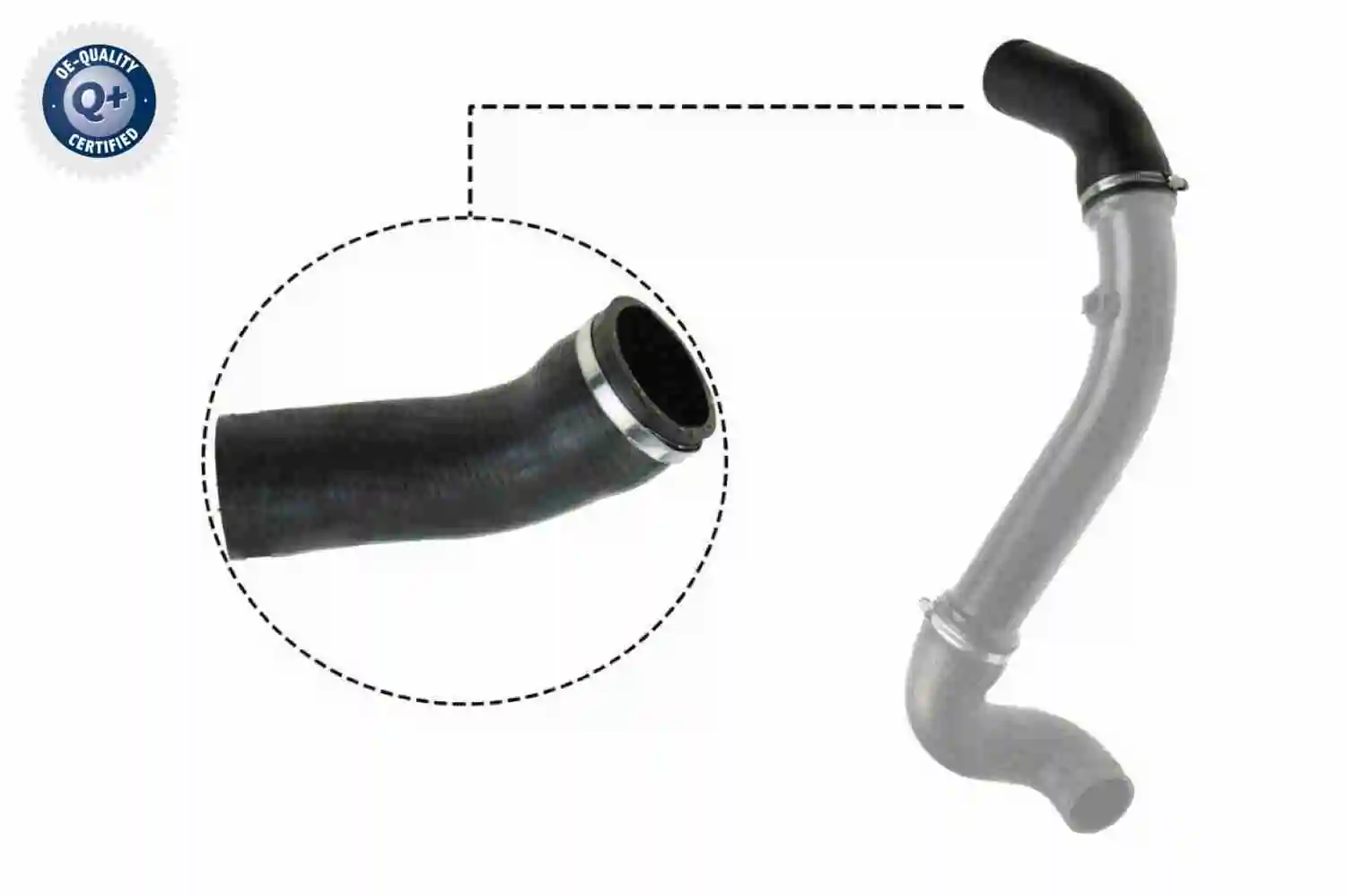 Gaine de suralimentation VAICO V30-2717