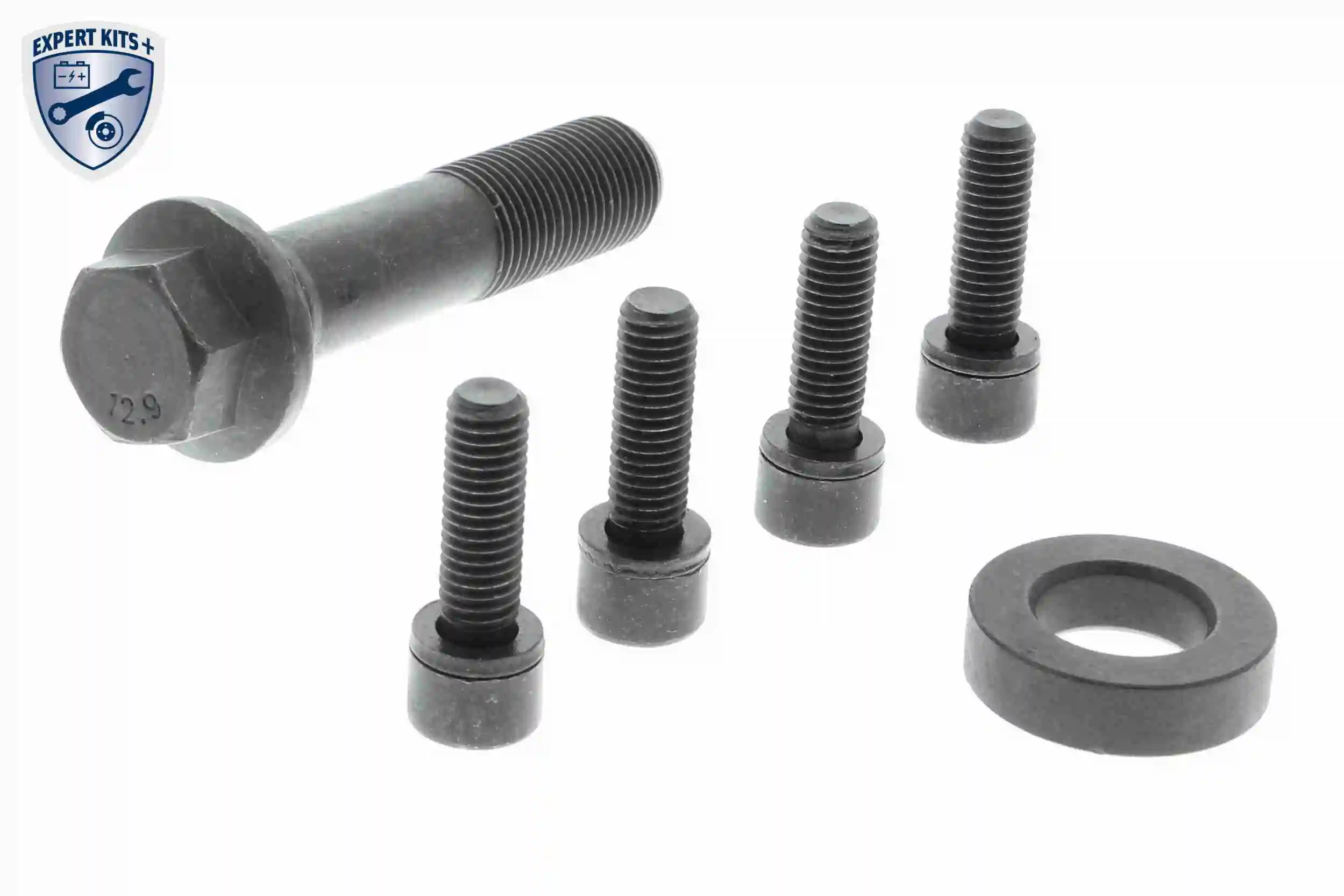 Kit de poulies, vilebrequin VAICO V24-0865