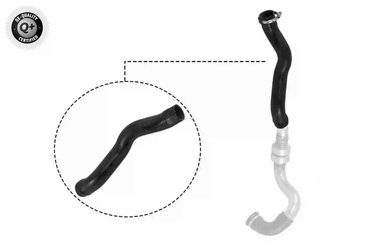 Gaine de suralimentation VAICO V21-0025