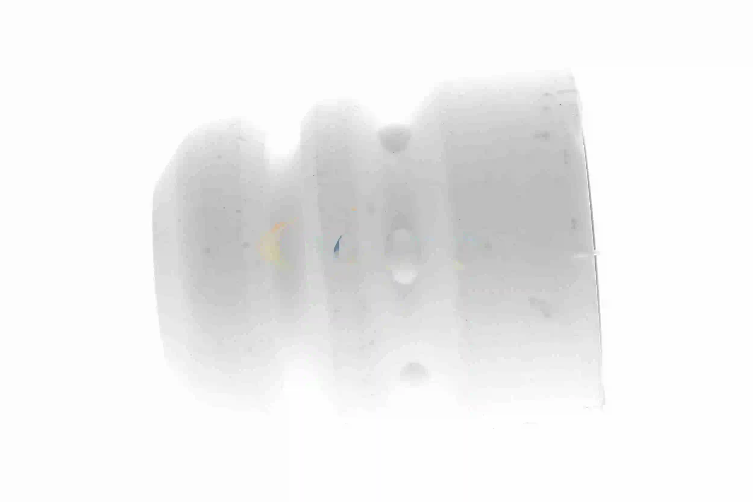 Butée élastique, suspension VAICO V10-3371