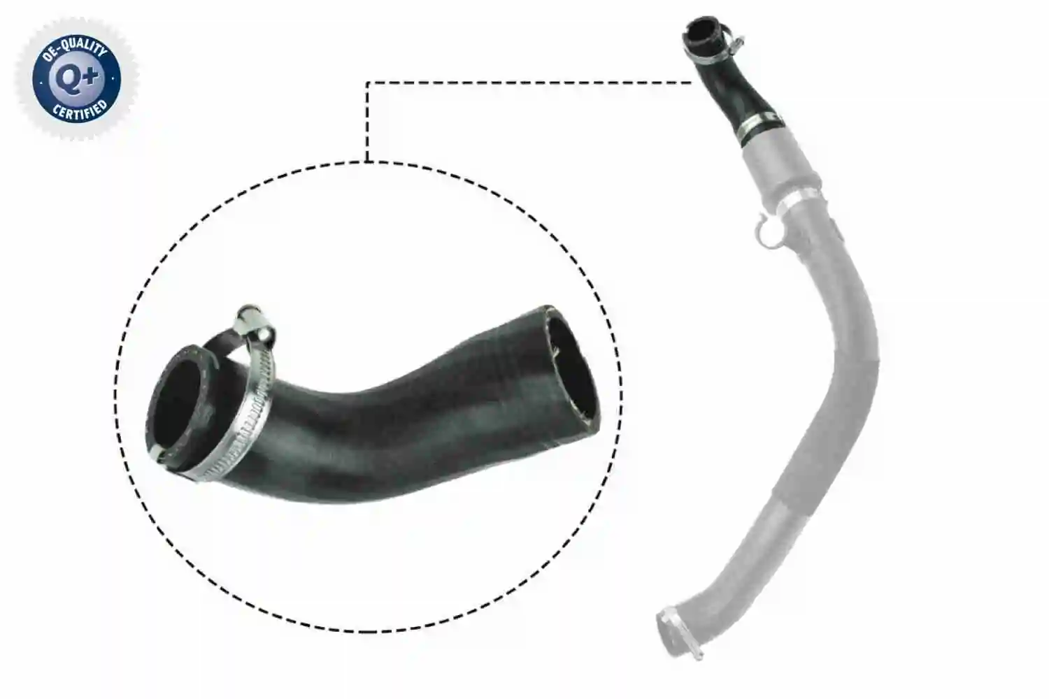 Gaine de suralimentation VAICO V25-1044