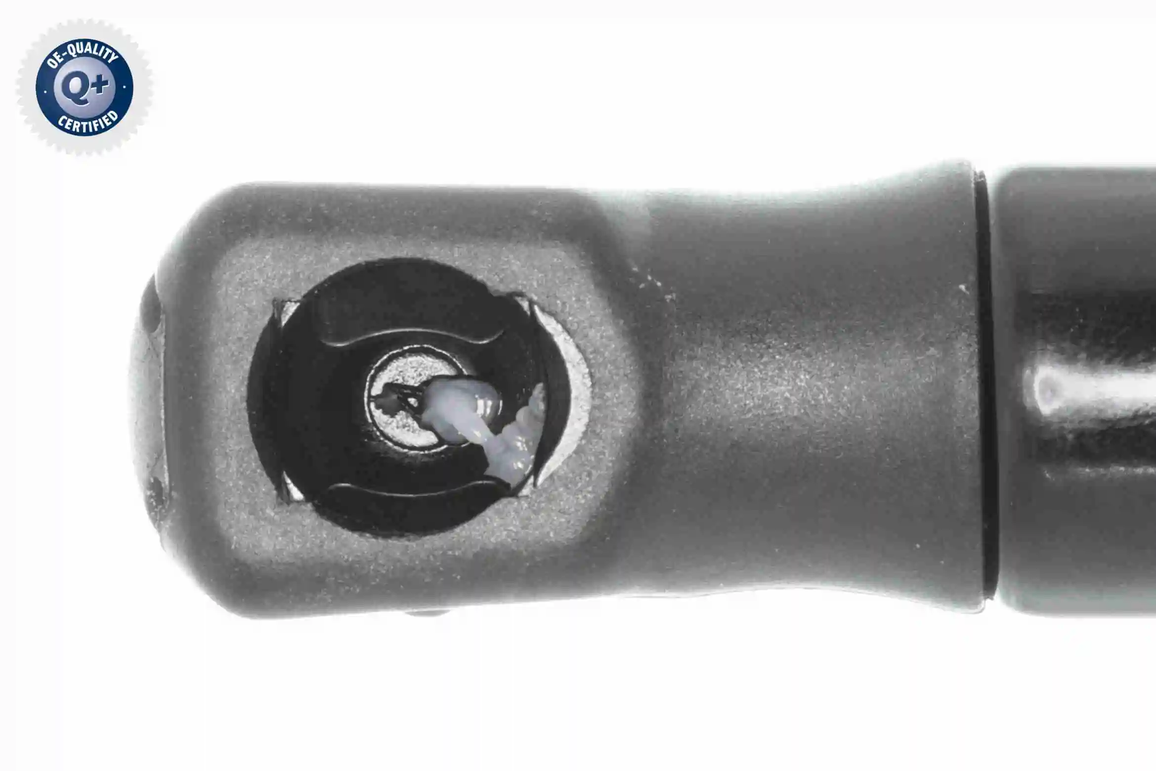 Vérin de hayon, de coffre VAICO V25-2837