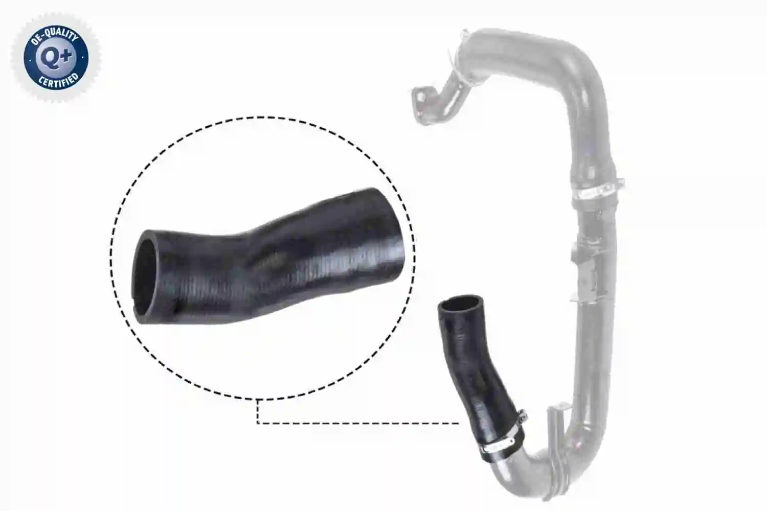 Gaine de suralimentation VAICO V24-0697