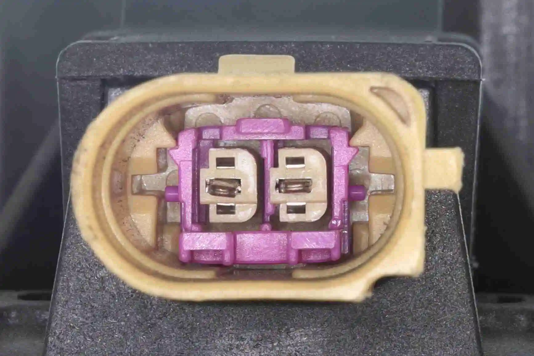 Support moteur VAICO V10-9164