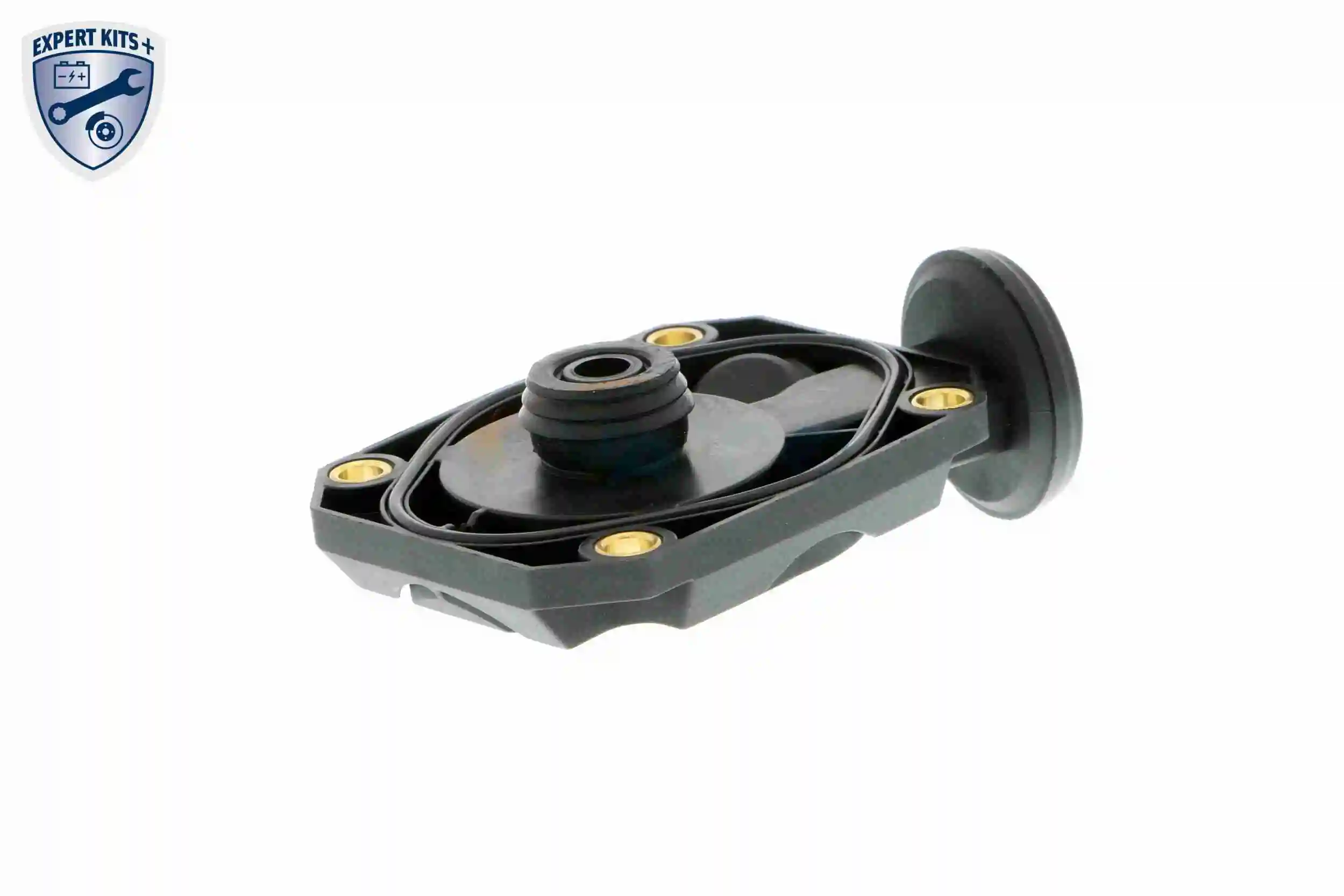 Soupape, dégazage du carter VAICO V20-1512