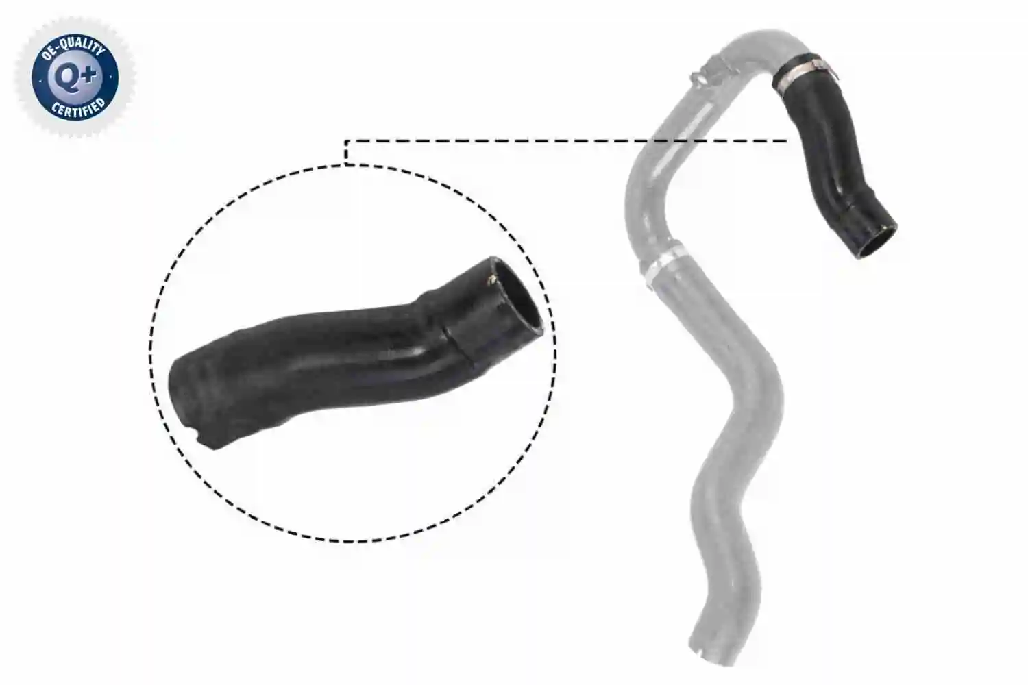 Gaine de suralimentation VAICO V24-0732