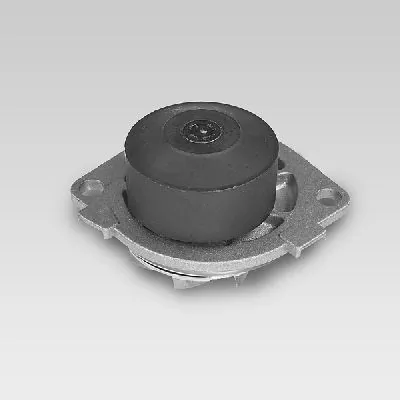 HEPU P1041