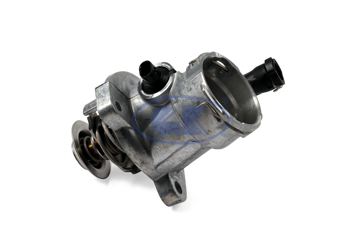 TERMOSTAT DB 100C C63/E63/R63/S63