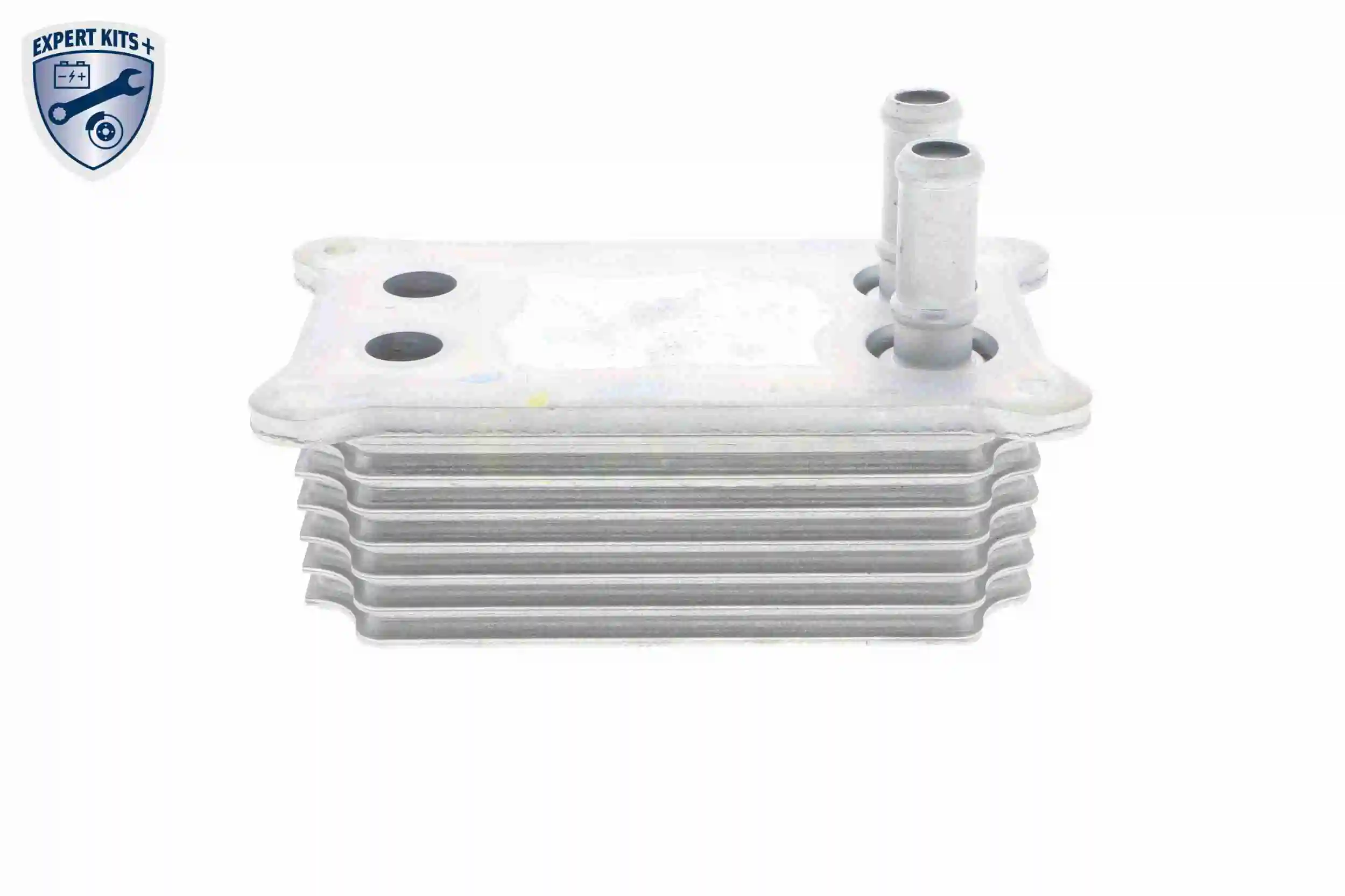 Radiateur d'huile VEMO V25-60-0031