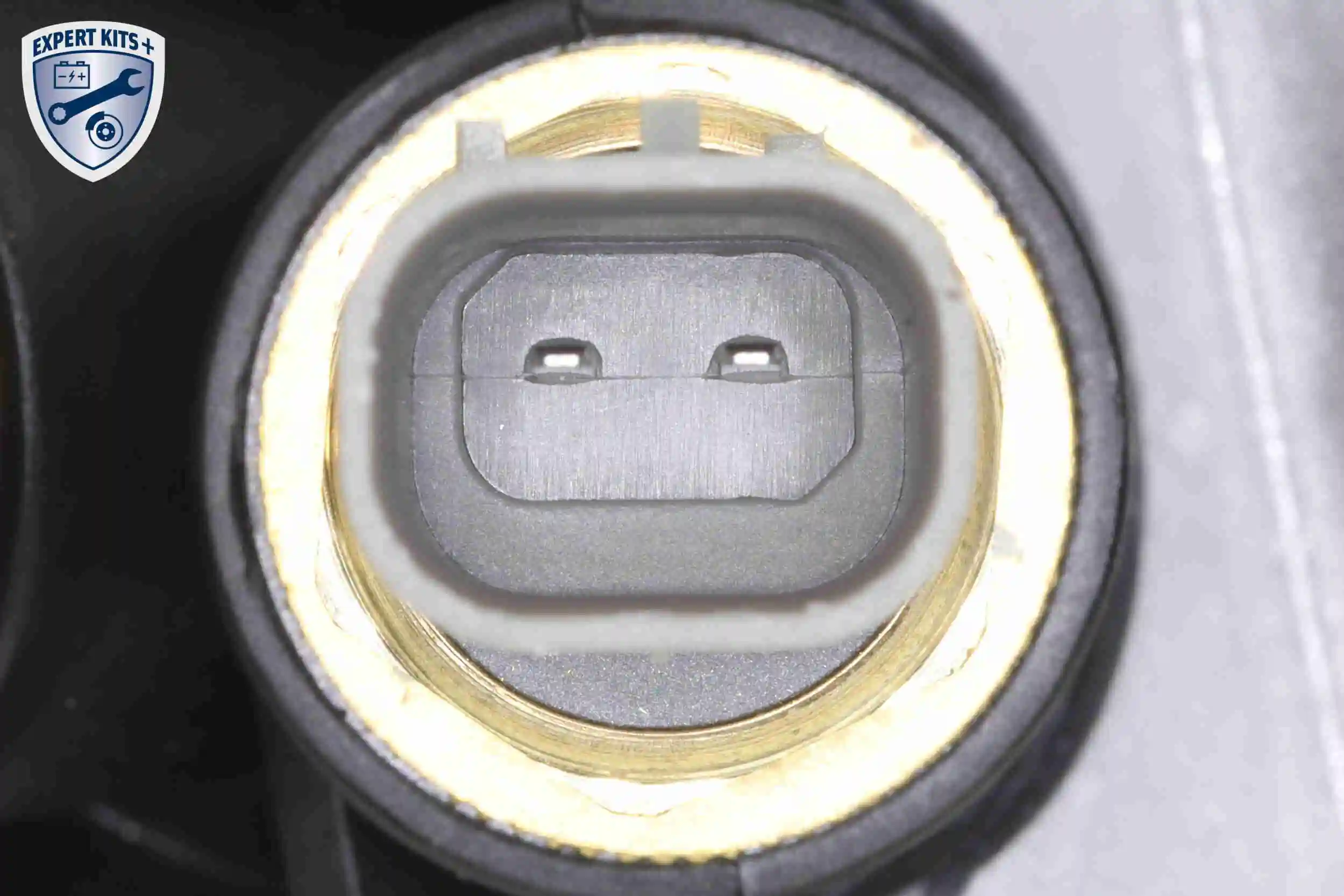 Module de filtre à huile VEMO V33-60-0006