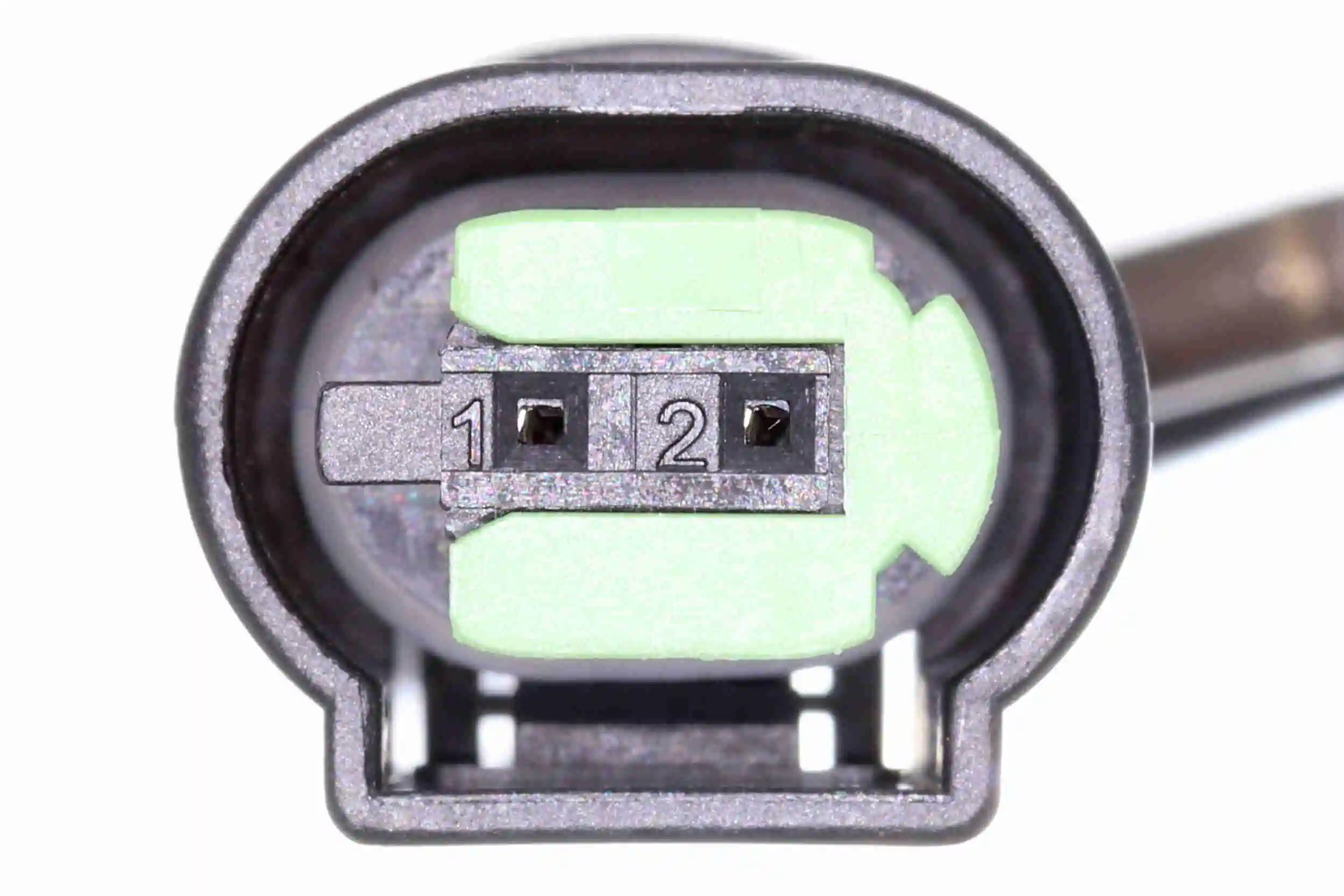 0e38152adb2b4592b7294366775fc45fc4c953fa.webp — 4