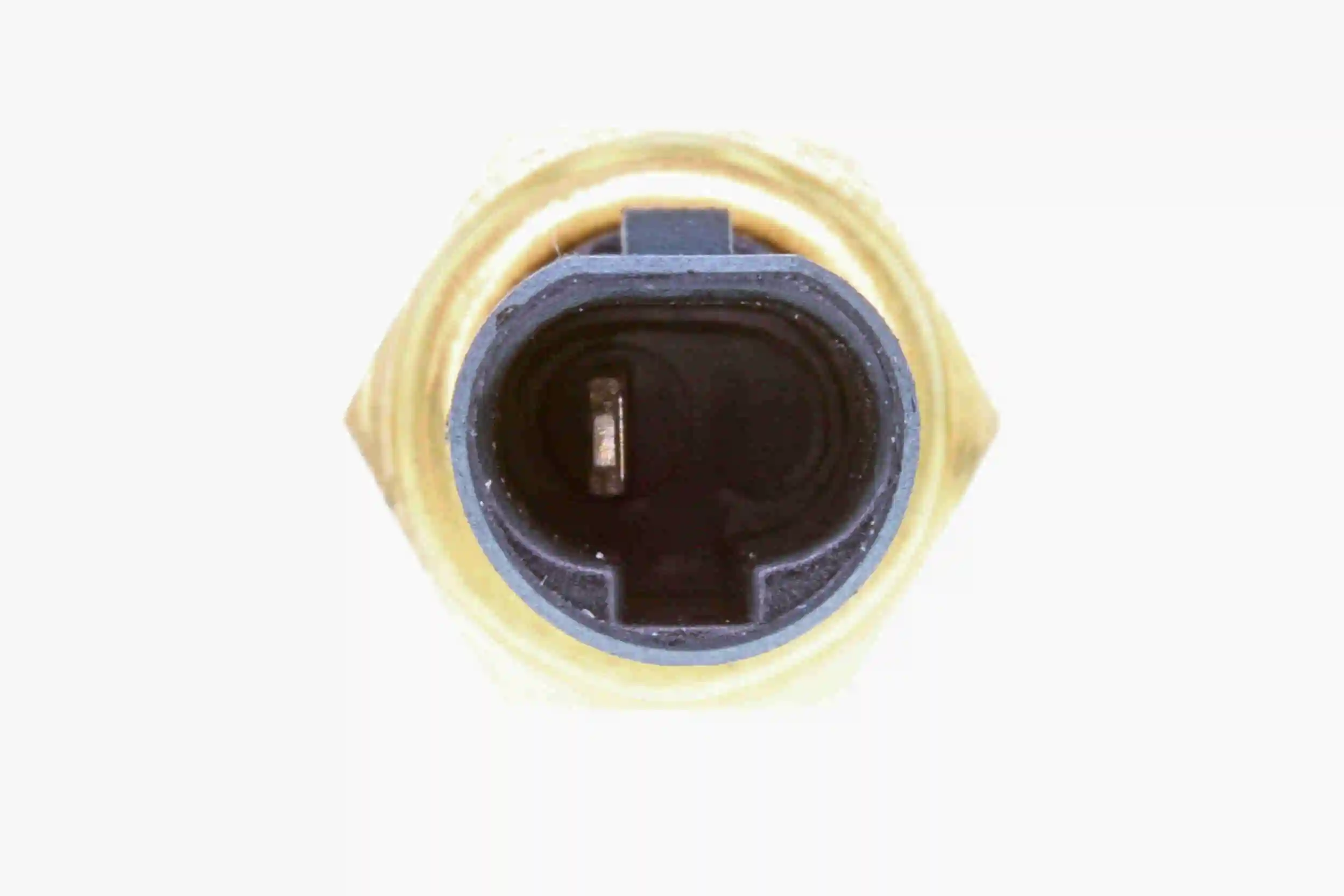 19f577a8e23ddfe73c84b6492ede540724bf10c0.webp — 4